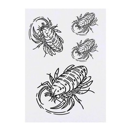 4 x 'Lobster Crustacean' Temporary Tattoos - Water Resistant, Skin-Safe, Non-Toxic Transfers, Mixed Sizes (TO00068796)
