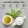 Soursop Graviola Leaf Tea Bags, 90 Count, Bamboo Tong Included,