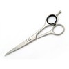 Wahl Hairdressing Styla Scissors 6.0" Italian Series WSIT60 Ice Steel