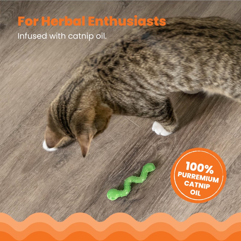 Petstages Orkakat Wiggle Worm Dental Catnip Cat Chew Toy