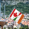 2×3 FT Ireland Canada Friendship Flag,Medium 60×90 CM Irish Canadian
