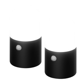 アイリスオーヤマ センサーライト ガーデン LED 乾電池式 丸型 2個セット ZSL-MN1M-BKS2