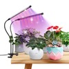 Grow Lights for Indoor Plants - Red & Blue Spectrum