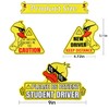 SINGARO New Driver Magnet for Car, 3pcs Cute Duck Car