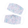 COLORFUL CANDY STYLE マスク 女の子 抗菌 2枚セット 洗える 立体 布