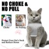 Soft Mesh No Pull Cat Vest Harness And Lead Set,