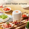 ELECTRIC GARLIC MINCE, 250ML Food Chopper USB, Mini Vegetable Chopper,