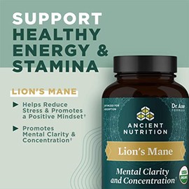 Ancient Nutrition Ancient Nutrition Organic Lion's Mane Mushroom Supplement with Ashwagandha, Organic Lion's Mane Supports Healthy Energy and Concentration, Reduces Fatigue, Gluten Free and Keto Friendly, 30 Tablets