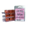 Our Own Candle Company Premium Wax Melt, Pumpkin Spice, 6