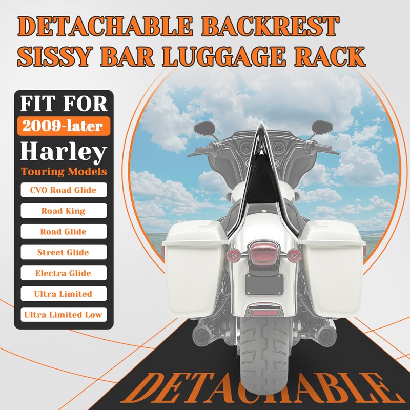 HECASA Detachable Backrest Sissy Bar Compatible with 2009-2024 Harley Touring