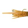Berkley Powerbait Pre-Rigged Atomic Teasers Fishing Soft Bait, Caramel Apple,