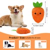 Andiker Carrot Dog Toy, 9.84'' Dog Squeaky Toys Inside with
