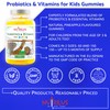Probiotics & Vitamins for Kids and Adults Natural Pineapple Gummies