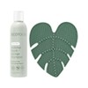 EcoTools Almohadilla de limpieza de brochas de maquillaje + paquete