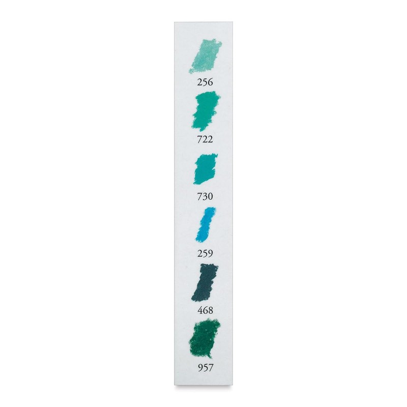 SENNELIER N132288.02 Extra-Soft Half Pastel 6 Sticks Set, Pigment, Emerald