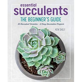 Essential Succulents: The Beginner's Guide