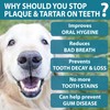 Petastical Plaque Vanish | Plaque Off Dogs, Cats | Banish