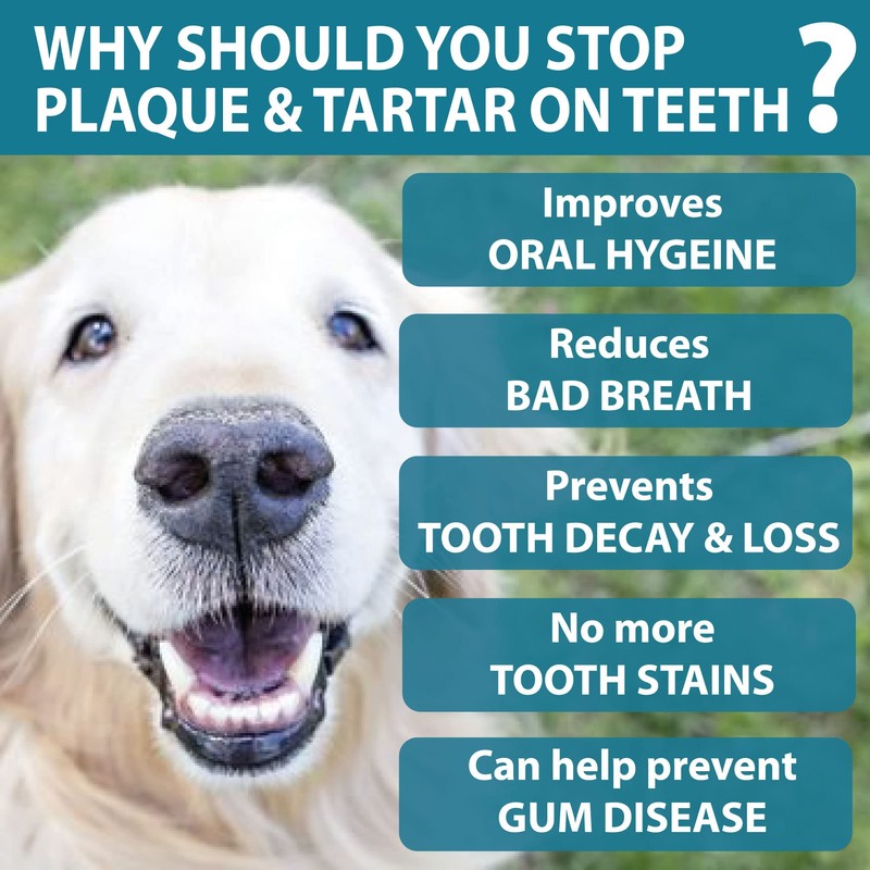 Petastical Plaque Vanish | Plaque Off Dogs, Cats | Banish