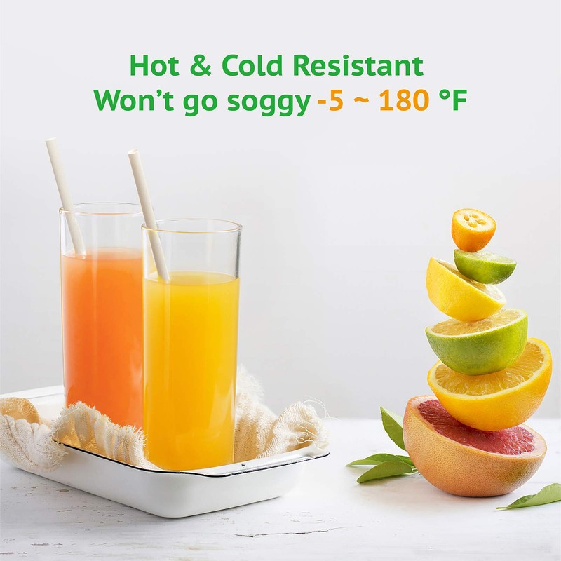 WYMOON Biodegradable Straws made of Natural Plant | 600 PCS