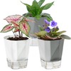 Samhe 3 Pack Self Watering Flower Pots 6.5 Inch, Plant