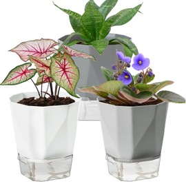 Samhe 3 Pack Self Watering Flower Pots 6.5 Inch, Plant Pots for Indoor Outdoor, Self Watering Planters with Wick Rope and Clear Reservoir