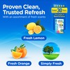 COMPAC HOME Plink Garbage Disposal Cleaner & Deodorizer Infuses and