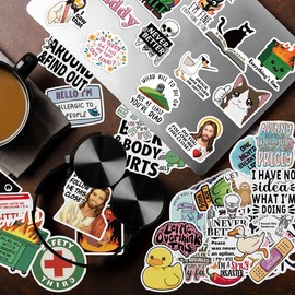 200 PCS Sarcastic Stickers for Adults, Funny Meme Hilarious Decals Dark Humor Sticker Gift Packs for Laptop Phone Kindle Bumper Scrapbook Water Bottles