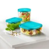 Frigoverre 339140MA2121990 Food Storage Container
