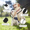 2pcs Adjustable Double Pet Trainer Leash, No Tangle Dog Dual