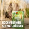 Compo COMPO Bambus & Ziergräser Langzeit-Dünger, Umweltschonendere Rezeptur, 5 Monate
