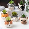 ETAKISH Dog Planter Pots - 6 Pack Ceramic Succulent Pots