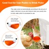 Large Automatic Chicken Waterer Cups DIY Poultry Chicken Waterer Kit