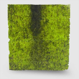 San Francisco Bay Brand Green Seaweed Salad Dried Marine Algae Bulk (0.4 Ounce 16 Mini Sheets) Aquarium Fish Food for Saltwater Marine & Freshwater | Seaweed for All Algae Eater Grazers