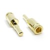 AVANKI Terminal Connector Brass with Gold Plated 8 to 8