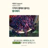 곰보배추 엑기스 곰보배추 추출물 배암차즈기 삼백초 시럽 곰배진 곰베진 Gombo