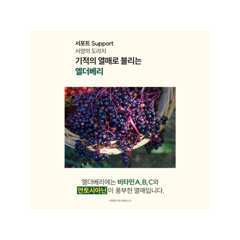 곰보배추 엑기스 곰보배추 추출물 배암차즈기 삼백초 시럽 곰배진 곰베진 Gombo