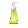 Method Foaming Hand Wash, Lemon Mint, 10 Ounce