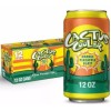 Coca-Cola Cactus Cooler Soft Drink Soda, 12 Packs Fresh Release