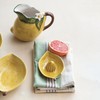 Creative Co-Op Countryside Citrus Stoneware Lemon Juicer, Multicolor