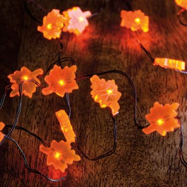 Primitives by Kathy String 20 Lights, 42-Inch, Leaf