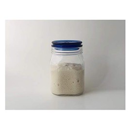 Organic Teff Gluten Free Sourdough Starter Culture