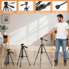 CIGMAN Laser Level with Tripod, (36.6 inch) 100Ft Self-Leveling Green