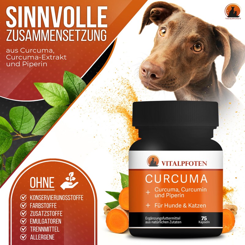 Vitalpfoten 75 Curcuma Capsules for Dogs and Cats with Curcumin