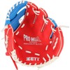 ZETT BDG2202VA Catch Ball Gloves for Beginners with Shock Absorbing