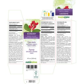 Naturalma Barberry (Berberis vulgaris) Root bark Alcohol-Free Tincture - 4 fl oz Liquid Extract in Drops - Herbal Supplement - Vegan