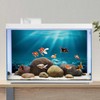 AWERT 36x18 inches Undersea Theme Aquarium Background Sunshine Underwater World