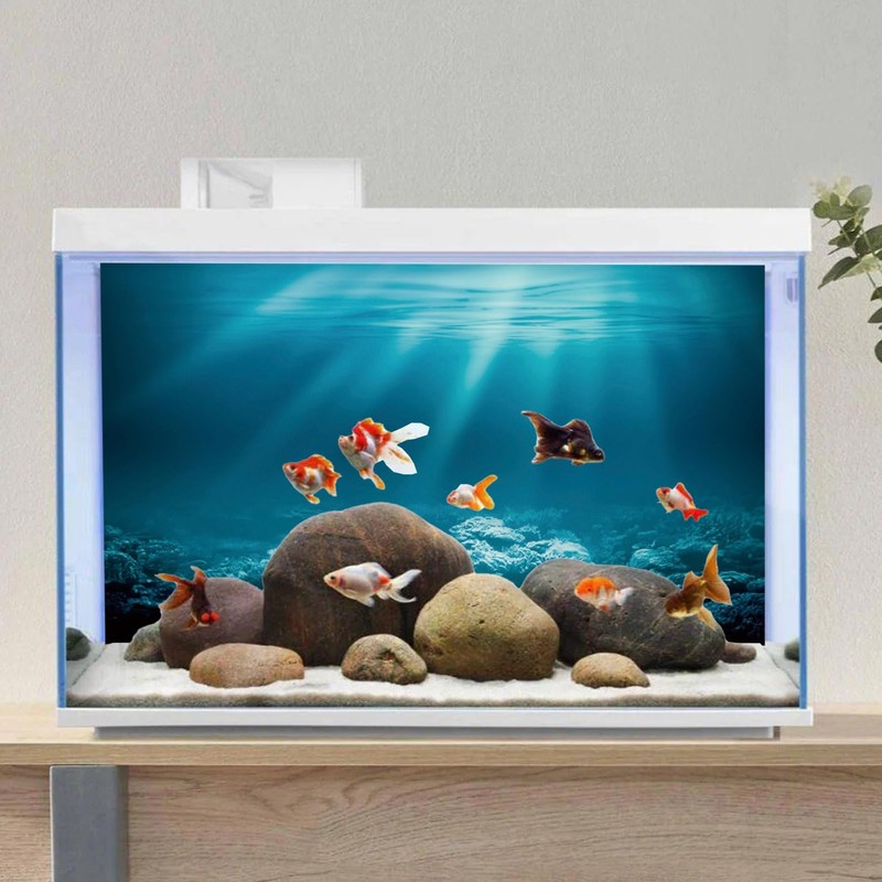 AWERT 36x18 inches Undersea Theme Aquarium Background Sunshine Underwater World