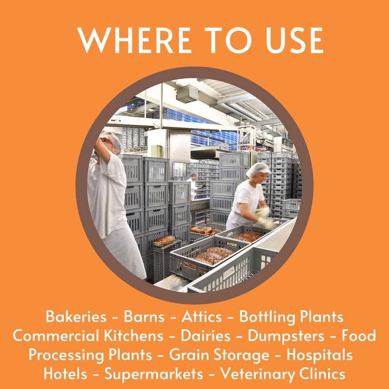 Diversey 5814919 Skidoo Institutional Flying Insect Killer II, EPA NSF