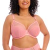 Elomi Women's Plus Size Matilda Unlined Underwire Plunge Bra, Rose,