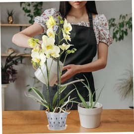 CIYODO 6sets Transparent Orchid Pots Breathable Net Pots Drainage and Saucers for Healthy Root Growth for Orchids and Indoor Planting Supplies